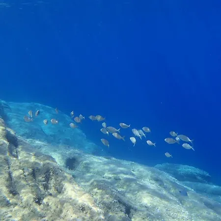 Vetrata Sul Mare * カンペーゼ